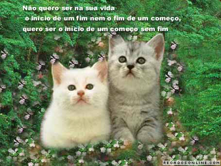 luandossantosn's profile picture. 