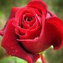 أحمد سامى (@0164524293) Twitter