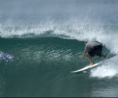 ShandsGreenlee's profile picture. 