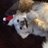 displacedkiwi's profile image