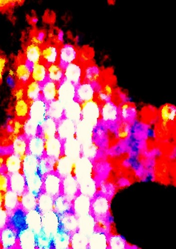 VaineParole's profile picture. Aime parler, en vain, ou se taire, enfin, et réfléchir, sans fin...