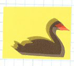 flim & new media designer