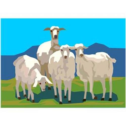 pilgrim276 Profile Picture