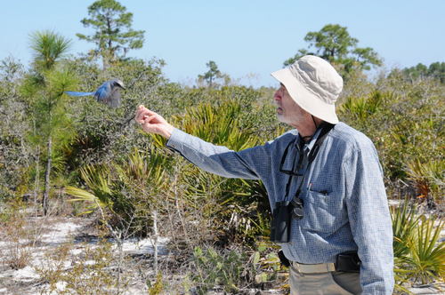 Paul R. Ehrlich Profile