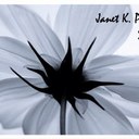 Janet Phelps - @PhelpsJanet - Twitter