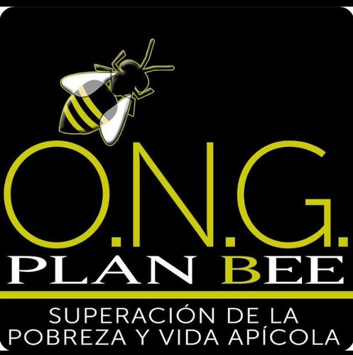 ONG Plan Bee (@ONG_Plan_Bee) | Twitter