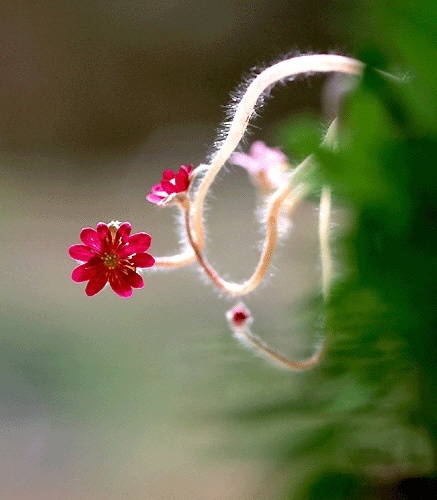 silvernet9981's profile picture. 한국은  또다시 효자교육이 필요한 시대이며,순해서 밀리기만 하는것이 아니고,수출경쟁이나 전쟁터에서 승전하면서도, 부모에게 효도하는 효자를 말합니다.지도자도 특히 정치인은 한국역사와 모든 백성 을  잘 아는사람이 지도 해야 잘살게 된다고 확신합니다, 그러한 시대가 닥아오고 있습니다.