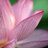 @mm535@mstdn.social