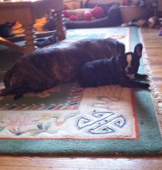 GlasseDuff's profile picture. handblown glass and cutting edge commentary