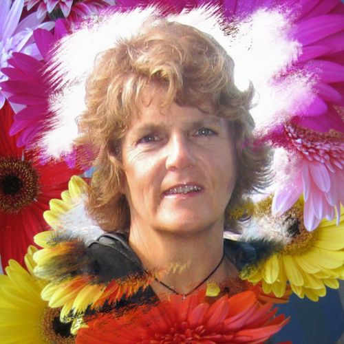 Janice_McCallum's profile picture. Swim Coach living in Mooloolaba on Qld's beautiful Sunshine Coast.