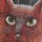 colnze050584's profile image