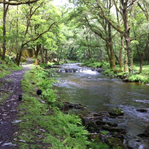 fenella9's profile picture. Loves G & T !