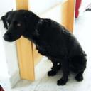 Michael Berg - @mibe1968 - Twitter