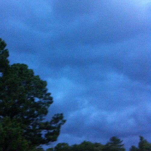 matthewMsanders's profile picture. I am a faithfull follower of christ. I work and pour my heart out at HARVEST CHURCH!!