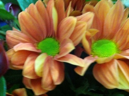 NAbuoshlleh's profile picture. 