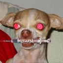 Paul Bourne - @paulbourne1972 - Twitter