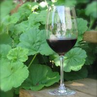 Visit wineries vicariously through us!