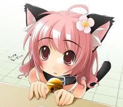 hay everyone :D i love all kinds of gaming! i have ps3 and xbox 360 and gaming pc! if u follow me ill follow u back:) i tweet about everything get to know me!