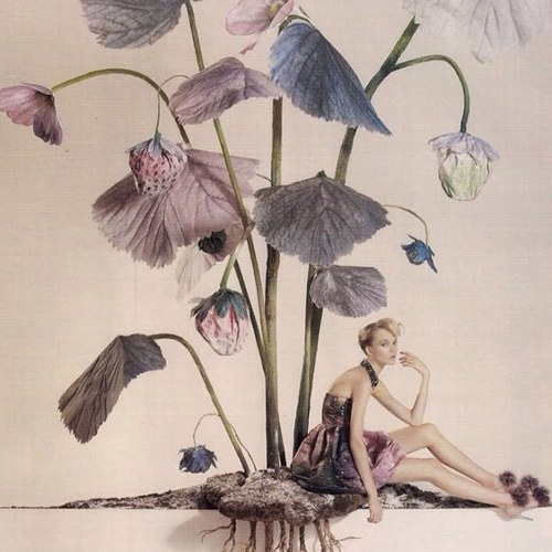 erikakatou's profile picture. 毎日愛犬とクラシックを聞き朝を過ごす習慣のあるエリカです。

最近pcを買ったのでつぶやきを始めてみました。
初心者ですが、よろしくおねがいします★