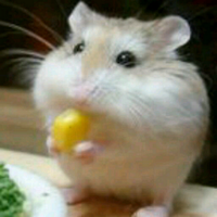 うろこだき　さこんじ (@patriot_theboss) 's Twitter Profile Photo