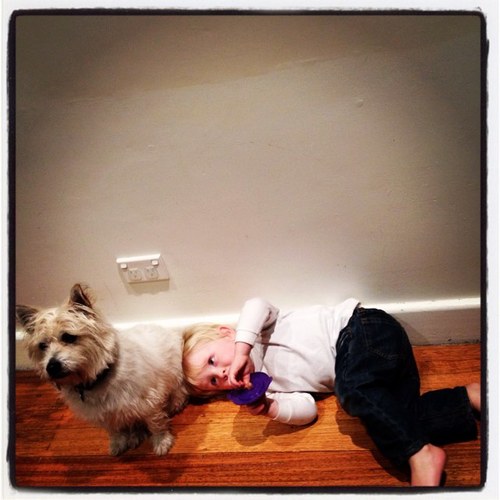 PhotoMissManny's profile picture. Herald Sun Features Photographer LOVES Dogs, Food, Dogs, Music, Dogs I'm a little bit country, I'm a little bit rock'n'roll Opinions own RT's no endorsement