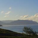 Eric Mansfield - @islandplover - Twitter