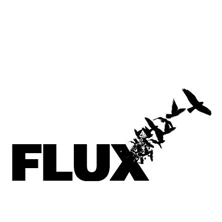 FLUX ( 5th-8th July) presents a photographic exhibition from a group of emerging artists wishing to leave the nest, wishing to make work on their own terms.