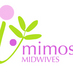 Mimosa Midwives (@mimosamidwives) Twitter profile photo Mimosa Midwives (@mimosamidwives) Twitter profile photo