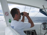 PauldingAssocPC's profile picture. Business Consultant & CPA