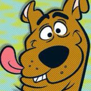 pasroh's profile picture. Ambulancier Diplômé d'État