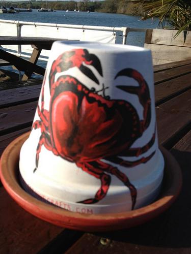 An amazing waterside bar & restaurant. Join us for great food fantastic #pizza Local #beer #ale #cider Superb #wines, live music & good times Keep it #crabby
