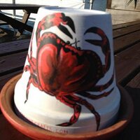 The Crabshell Inn (@the_crabshell) 's Twitter Profile