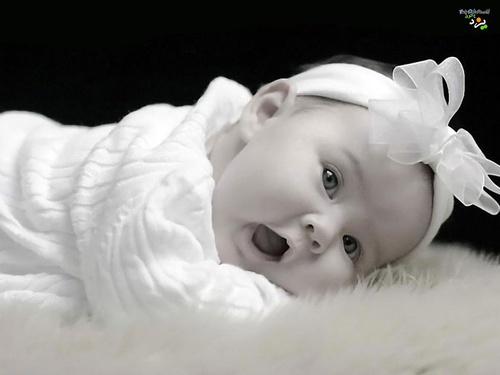 akoz120's profile picture. fun, sex, sexy, joke, apple, adsense, bbc, cnn