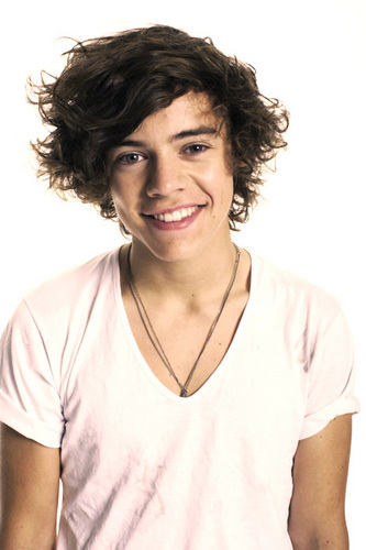 I love ONE DIRECTION.i wish zayn,harry and Niall follow back.i luv 1d and always be a directioner