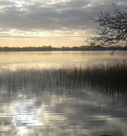 Ellen_de_Ridder's profile picture. 