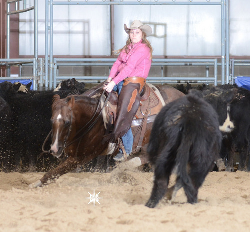 Marketing, Web Design, Ecomm Professional, Cutting horses, barrel racer, Cowhorses, Gun Shooting Cowgirl