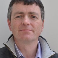 Shane McKeever (@mckeevershane) 's Twitter Profile