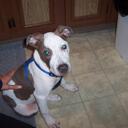 Abby Winn - @WizWays - Twitter