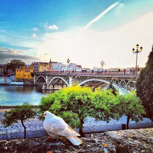 lolaluce1's profile picture. 