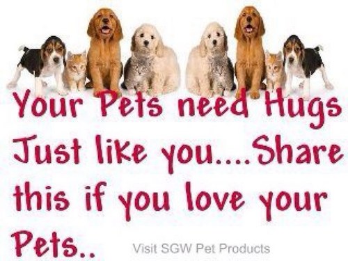 babyjonny02's profile picture. 