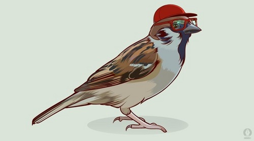 dontimpress's profile picture. Деградирую