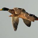 joe beatty - @BeattyJoe - Twitter