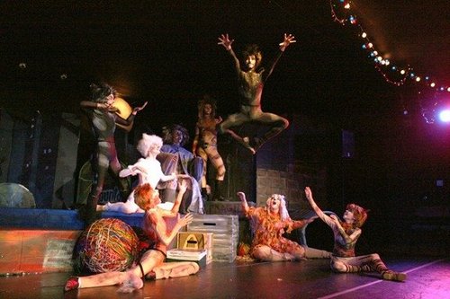 IN LOVE WITH THE MIDNIGHT BEAST!