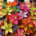 omneya ibrahim - @OmneyaI - Twitter