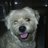 manuels02912209's profile image