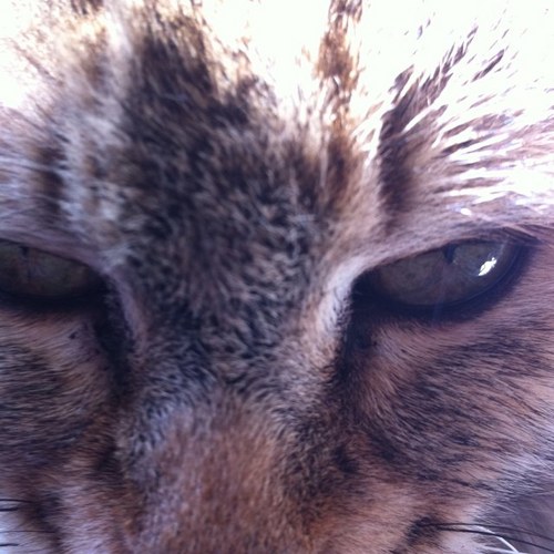 KathleenSchwab's profile picture. traveller ,love good deals ,like hot places & the beach.