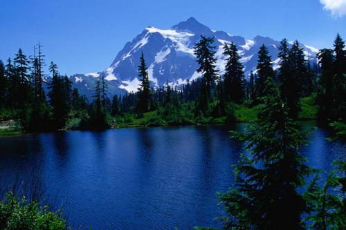 Pyromaniac19's profile picture. Likes mostly everything....except a few choice people, medium Mary Jane and Saskatchewan Roughrider fan