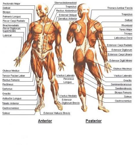 Fitness and health tips daily, have questions I have answers! #teamfit Email: fitnfoodtips@gmail.com for #business #advertisements #sponsors. Goal is to #help