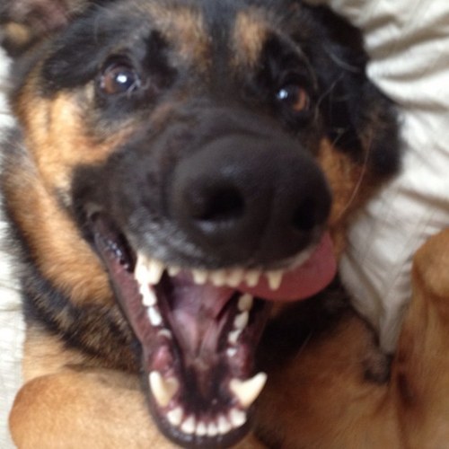 StuartCannon's profile picture. 