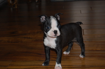 EdBenedict's profile picture. 